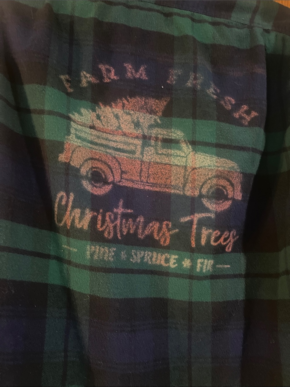 J. Crew Green and Navy Plaid Button-Down with Holiday Truck Graphic